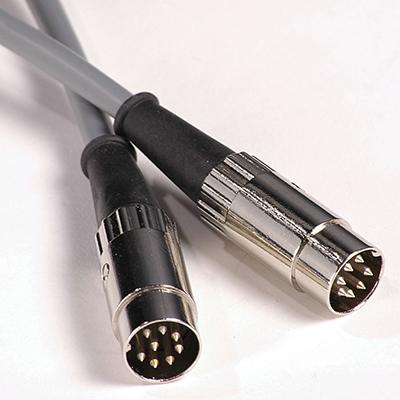 RJM MUSIC TECHNOLOGY 10ft Amp Cable - Egnater Tourmaster
