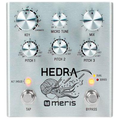 MERIS HEDRA Pedals and FX Meris
