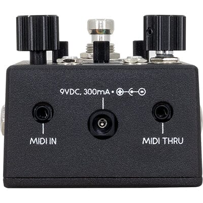 WALRUS AUDIO Canvas Rehearsal Pedals and FX Walrus Audio