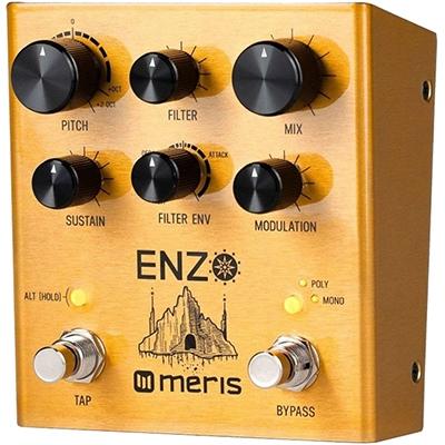 MERIS Enzo Pedals and FX Meris 