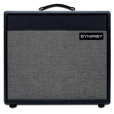 SYNERGY AMPS 1x12 Cabinet Amplifiers Synergy Amps