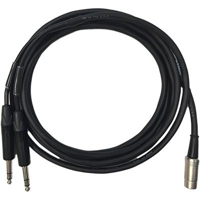 RJM MUSIC TECHNOLOGY 10ft Amp Cable - 2 x 1/4inch Interface Cable