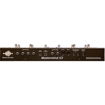 RJM MUSIC TECHNOLOGY Mastermind GT/10 MIDI Controller Pedals and FX RJM Music Technology 