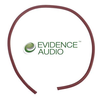 EVIDENCE AUDIO Monorail Cable 1ft Accessories Evidence Audio