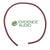 EVIDENCE AUDIO Monorail Cable 1ft