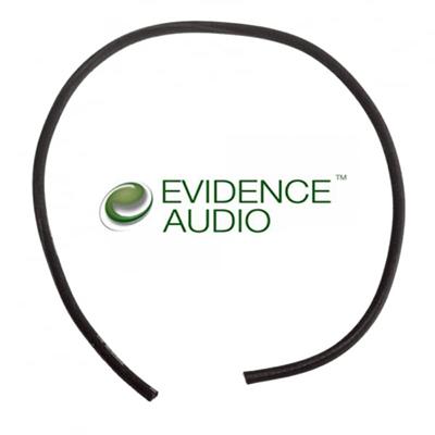 EVIDENCE AUDIO Monorail Cable 1ft - Black Accessories Evidence Audio