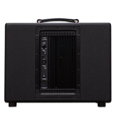 FRIEDMAN ASC-10 Powered Cabinet Amplifiers Friedman Amplification