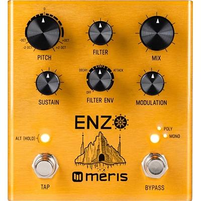 MERIS Enzo Pedals and FX Meris