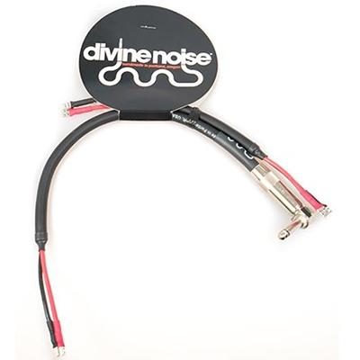 DIVINE NOISE Combo Speaker Cable - 2 Speaker