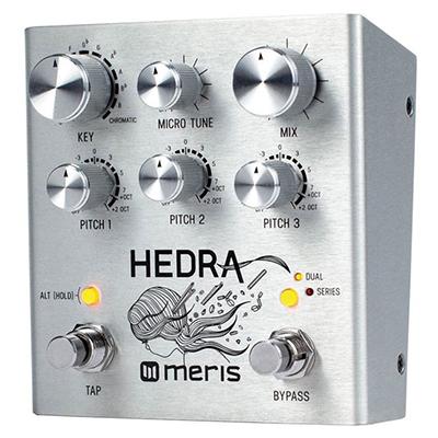 MERIS HEDRA Pedals and FX Meris